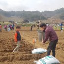 마산기술지원과(마산농업기술센터) 이미지