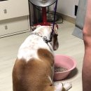 (주)햄버거잉글리쉬
