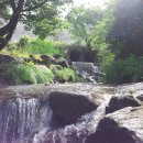 계곡&풍경 이미지