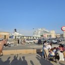 오연수 농장 | [이태리 여행]본~죠르노:D_7-2일 이탈리아 남부 소렌토, 페리 타고 카프리 섬 후루룩 구경하고 나폴리...