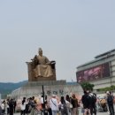 노마드캐나다비자 이미지