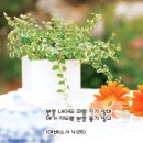 Give Thanks (거룩하신 하나님) - Don moen 이미지