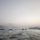 서해쭈꾸미 이미지