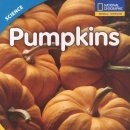 해강초등학교 이미지