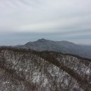 창수목장 Daum카페