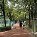 체육문화공원(축구장) 아시아경제