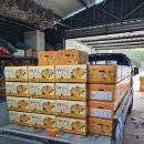 비야농장 이미지