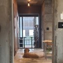 세븐일레븐 삼천포핫플레이스점 | 청주 성안길 애견동반 카페 ‘노이즈’ 감성 LP카페 추천