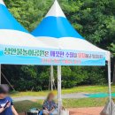 성안 물놀이공원 네이버블로그