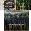 강남붙임머리 고객님 지인의 소개로 오셔서 청순한 여신 분위기 연출