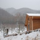 바울농장 이미지