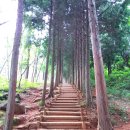 갈모봉산림욕장 이미지