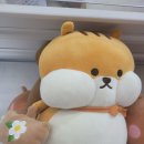 로바다세이지