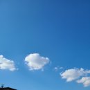 (주)오늘 이미지