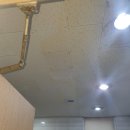 이담장례 이미지