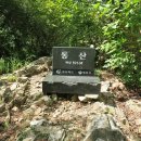 동산남성 이미지