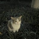 자연과한의원 이미지