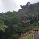 해인사 소리길 이미지