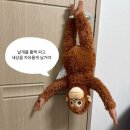 지브이피시방 | 행복했던 날들이었다