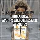 (주)케어사이드 | 강아지췌장영양제 고민 끝 케어사이드 모두 슈퍼다이제스티브 프리미엄 일주일동안 먹여본 솔직후기