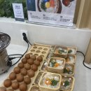 롯데프레시청주가경 | [청주] 가경터미널맛집 샤브올데이 청주터미널점 평일 점심 뿌수고 온 후기