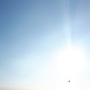 궁평해수욕장 Daum카페