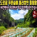 여주-0625 네이버블로그