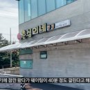 춘심이네 식당 이미지