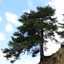 동로치안센터 이미지