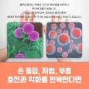 대연정형외과의원 이미지