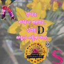 나의 그림 연구소(수채화) | 시니어그림책인지놀이 감정코칭 [빨간꽃 초록잎/나의속도]그림책감정코칭