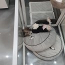 제이앤제이그루밍 이미지