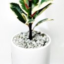 도전 수채화 이미지