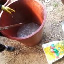 소룡농장 이미지