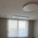 의료원로 | 라라데코 군산커튼 잘하는집 가성비최고 형상기억가공 나비 세미암막 블라인드 내돈내산후기