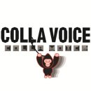 콜라보이스 카카오 검색결과