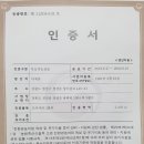 2021년 고냉지 무농약 생오미자 판매 마감합니다(구입감사합니다) 이미지