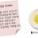 로덱스 이미지