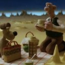 노부스테라 이미지