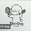 꽃보다 Dog 이미지