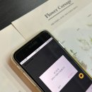 퍼니스토리 | 인스타 팔로우 늘리기 무료 퍼니클릭으로 시작한 계정 성장 후기