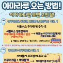 아라마루 네이버블로그