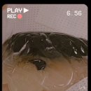 갈매와이시티 버스정류장 | 구리 갈매 속눈썹펌 넘 만족한 곳 ‘비아이앤래쉬’💎