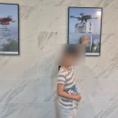 [양평] 남한강 휴게소에 반려견공원과 휴게소가 럭셔리