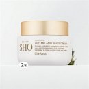 코리아나 이미지