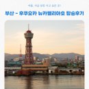 부산 후쿠오카 배 예약 뉴카멜리아호 탑승부터 도착까지 후기