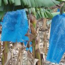 국제농장 이미지