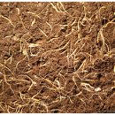 단비농장 이미지