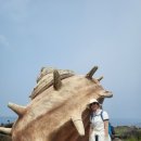 올레풍차 | 제주도올레길12코스(20250528수)