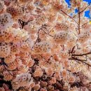 워싱턴 모텔 이미지